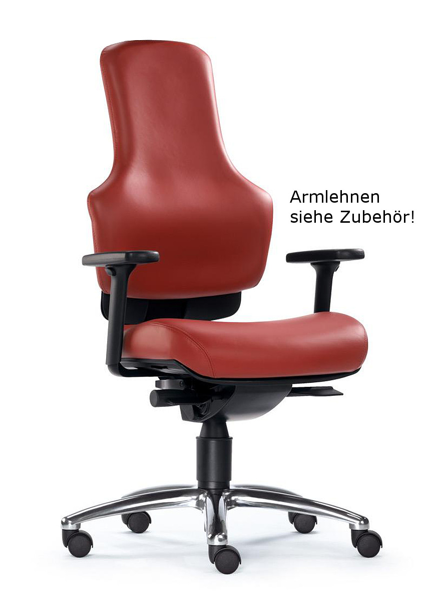 224-0035566fd675c2010wOFL9GfrYKOJM Drehstuhl Ortholetic Balance