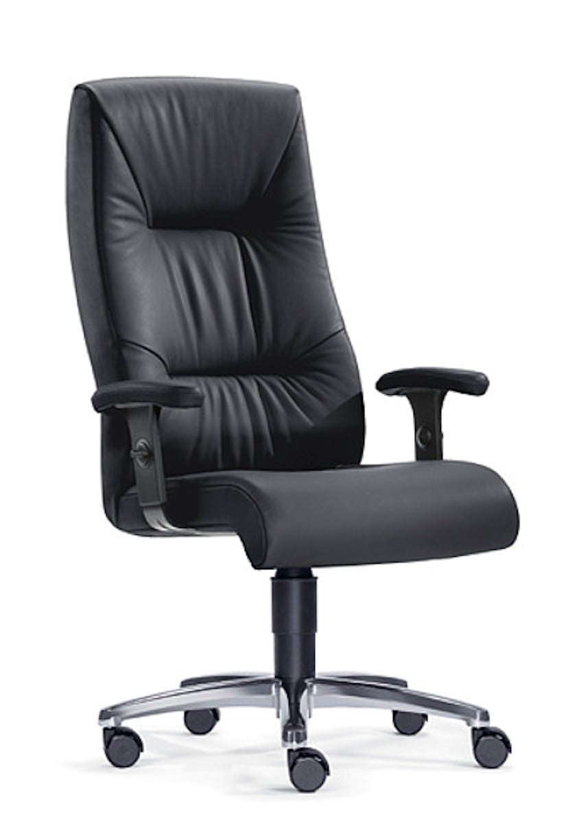 224-0033-00 LEDER Drehsessel Turbo XXL, bis 200 kg - Sitwell Steifensand