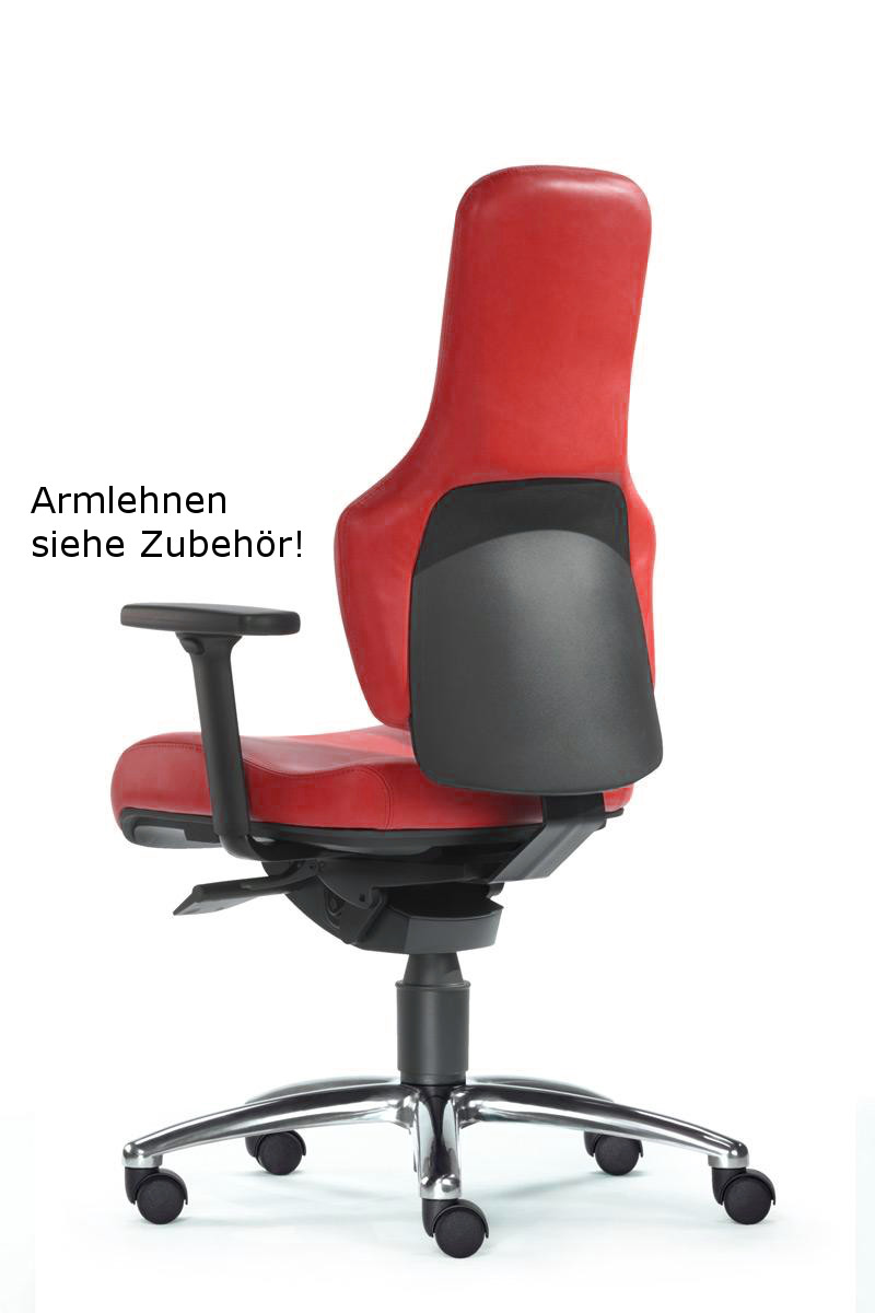 224-0035_shoAJgCxmldN89H Drehstuhl Ortholetic Balance