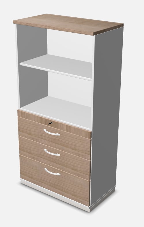 Kombischrank Typ 10